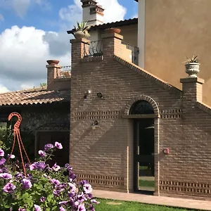 Le Della Baracchina , Pisa Italia